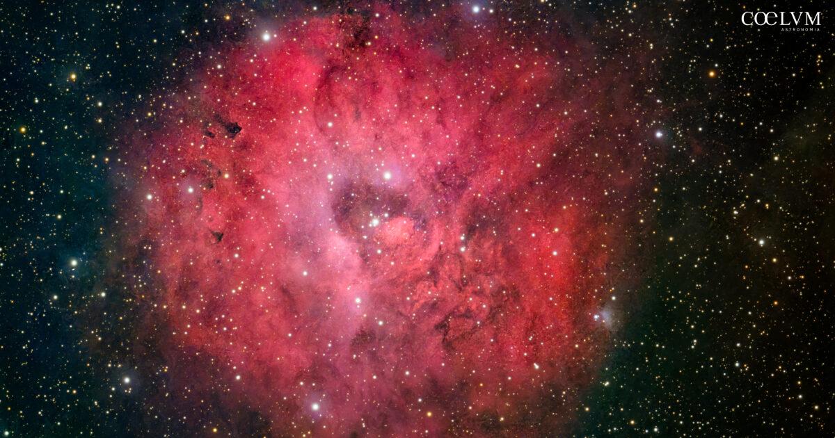 Sh2-170 Nebulosa Piccola Rosetta | Coelum Astronomia