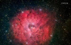 Sh2-170 Nebulosa Piccola Rosetta