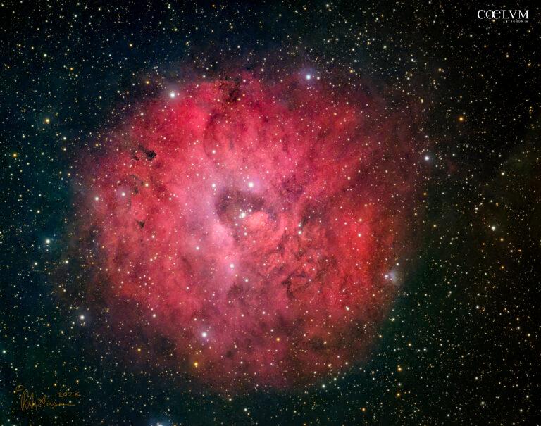 Sh2-170 Nebulosa Piccola Rosetta