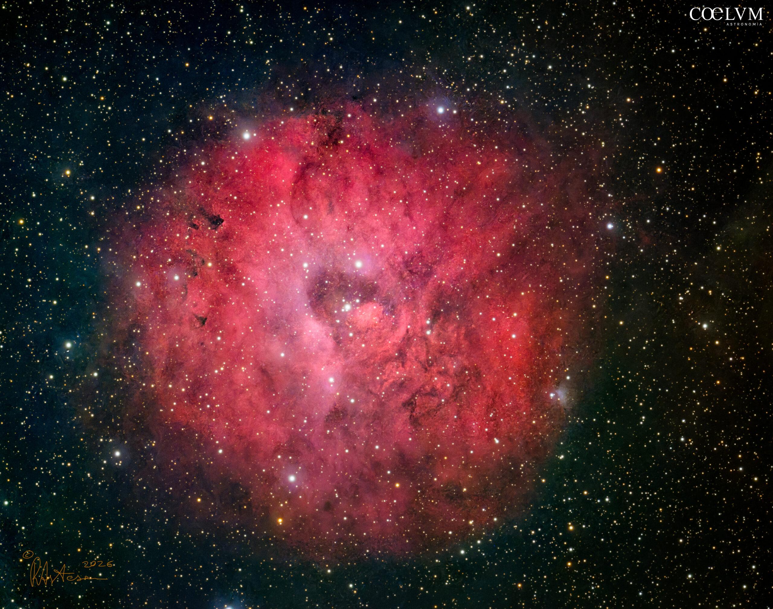 Sh2-170 Nebulosa Piccola Rosetta