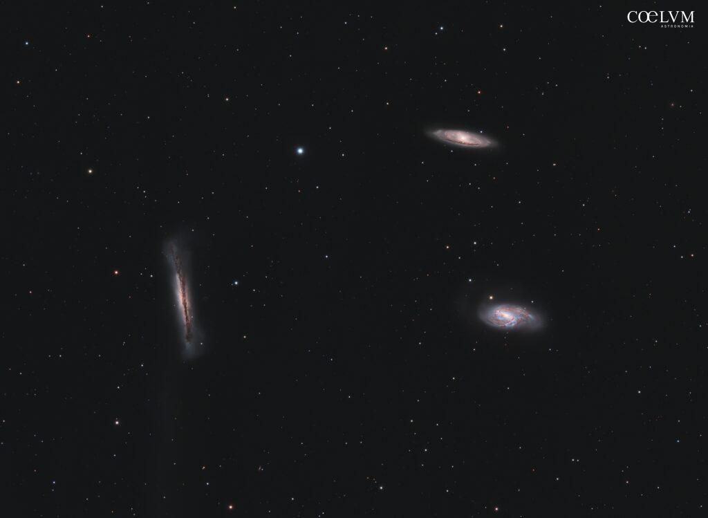 Leo Triplet