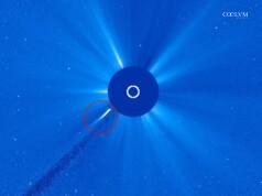 LA MAPS NON CE L’HA FATTA