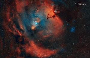 Nebulosa Rosetta e NGC 2264 in ampio campo