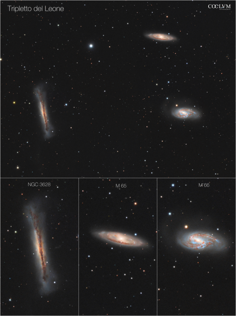 Il tripletto del Leone