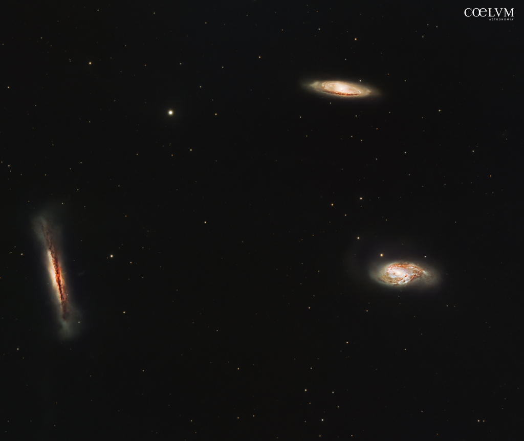 M 66 Tripletto del Leone
