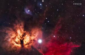 Nebulose “Fiamma” e “Testa di Cavallo”
