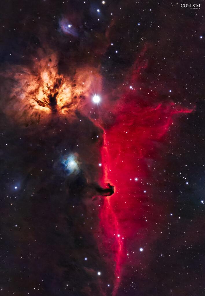Nebulose “Fiamma” e “Testa di Cavallo”