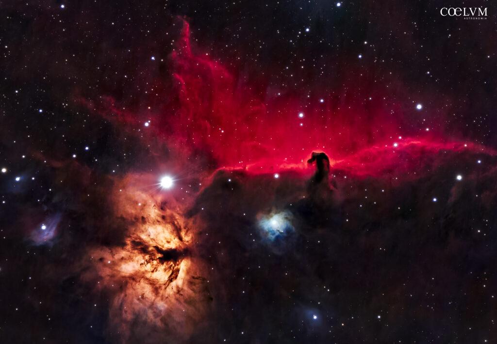 Nebulose “Fiamma” e “Testa di Cavallo”