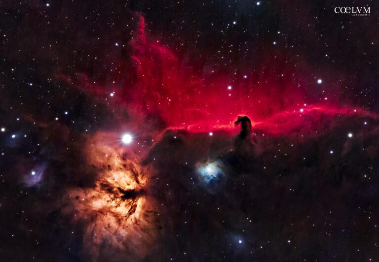 Nebulose “Fiamma” e “Testa di Cavallo”