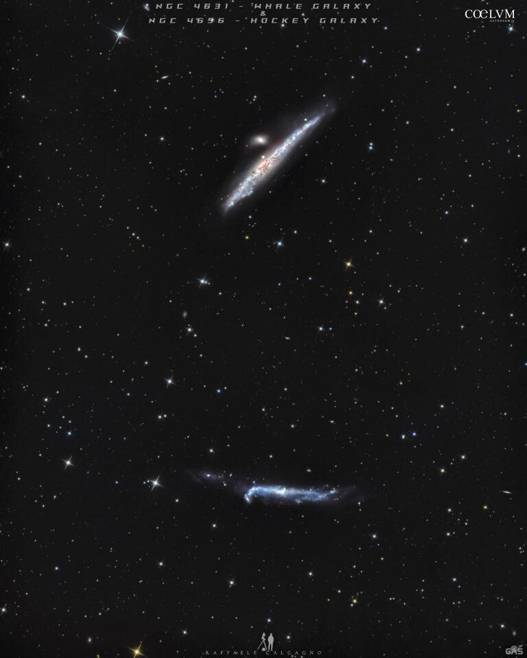 NGC 4631 Whale Galaxy & NGC 4656 Hockey Stick Galaxy