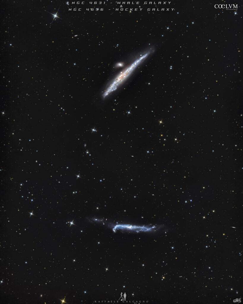 NGC 4631 Whale Galaxy & NGC 4656 Hockey Stick Galaxy