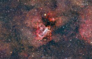 M17 Nebulosa Omega