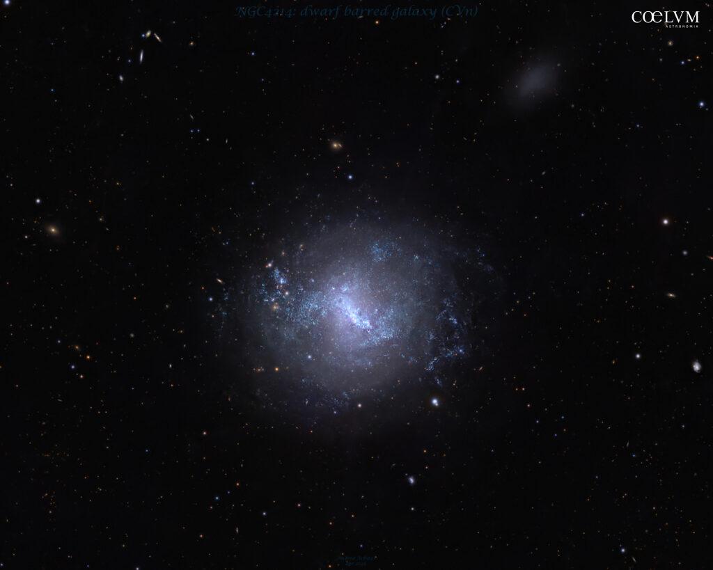 NGC 4214: galassia nana nei Cani da Caccia