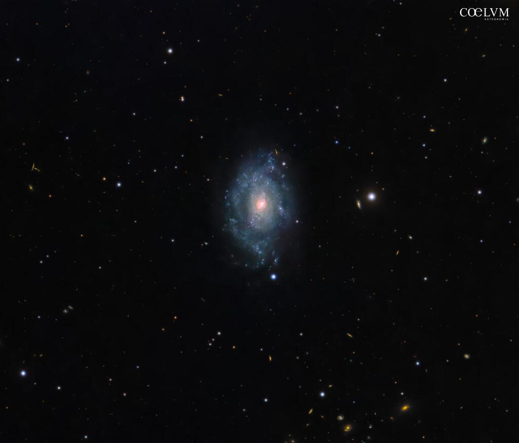 NGC5585: galassia a spirale nell’Orsa Maggiorev