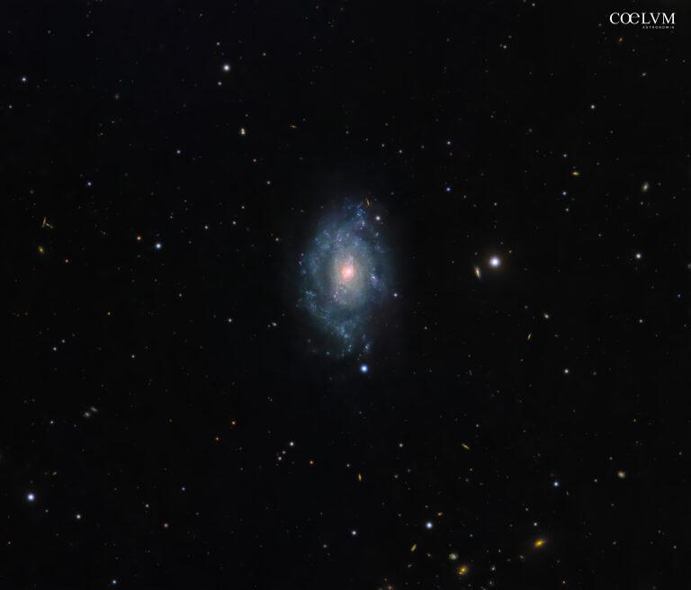 NGC5585: galassia a spirale nell’Orsa Maggiorev
