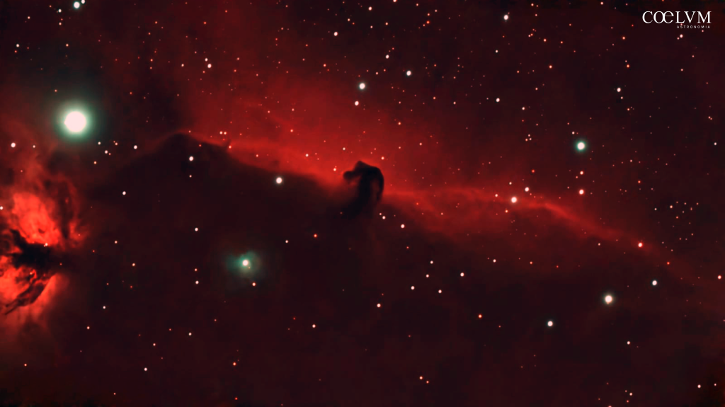 HorseHead Nebula (B33) Il Cavallo Cosmico. Una testa di cavallo nella Cintura di Orione.