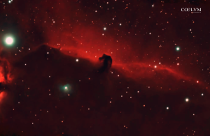 HorseHead Nebula (B33) Il Cavallo Cosmico. Una testa di cavallo nella Cintura di Orione.