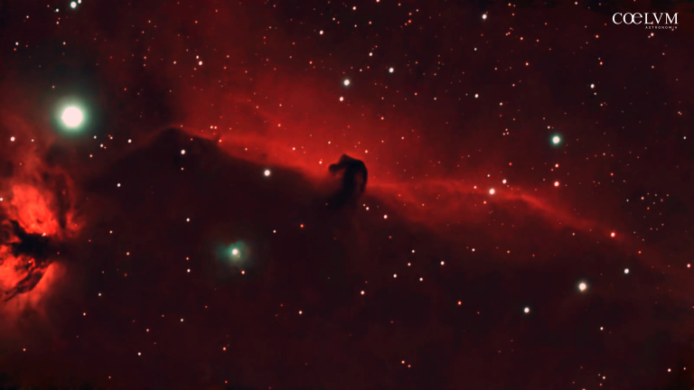 HorseHead Nebula (B33) Il Cavallo Cosmico. Una testa di cavallo nella Cintura di Orione.