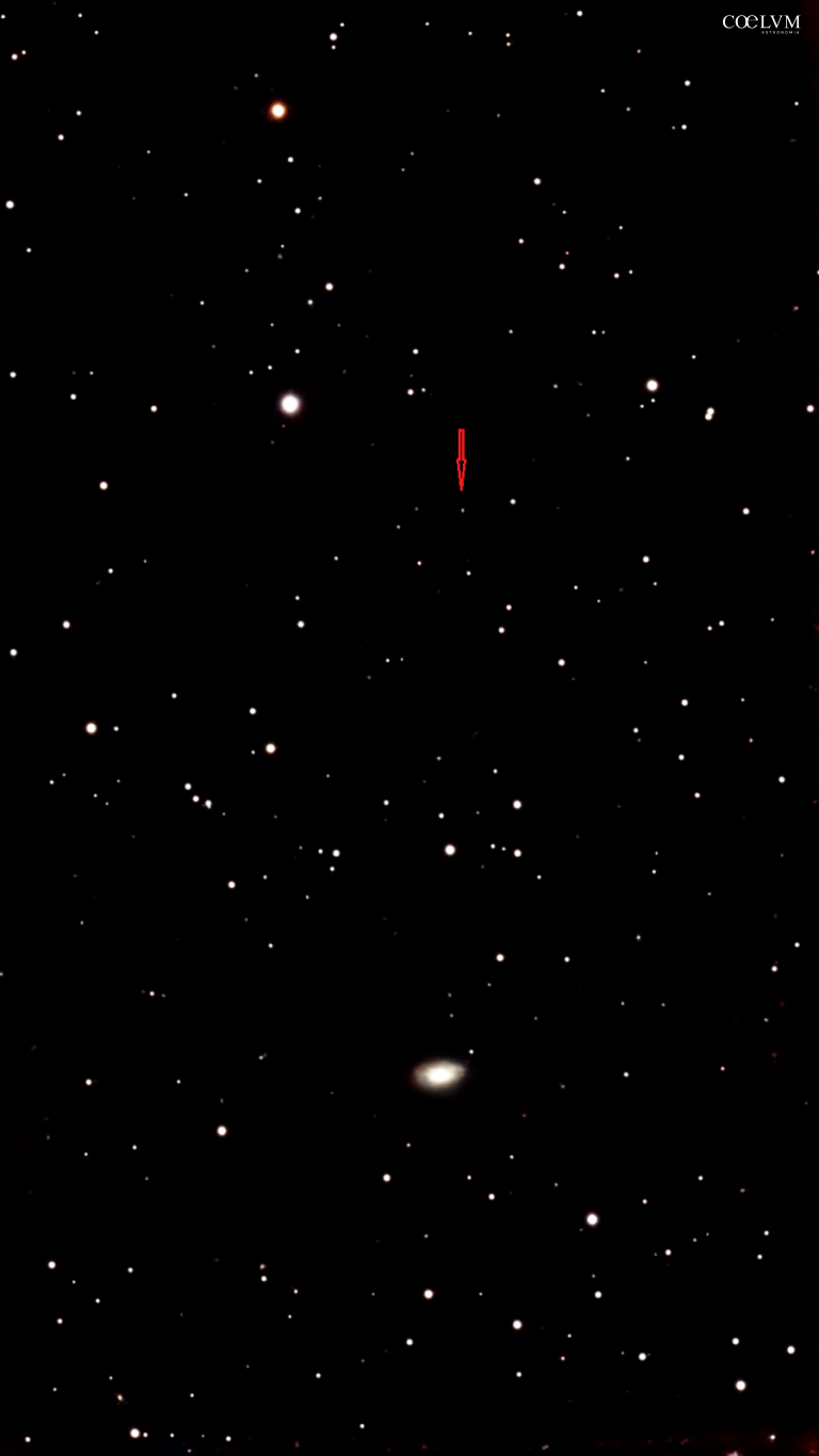 TONANZINTLA 618 ( Ton 618)