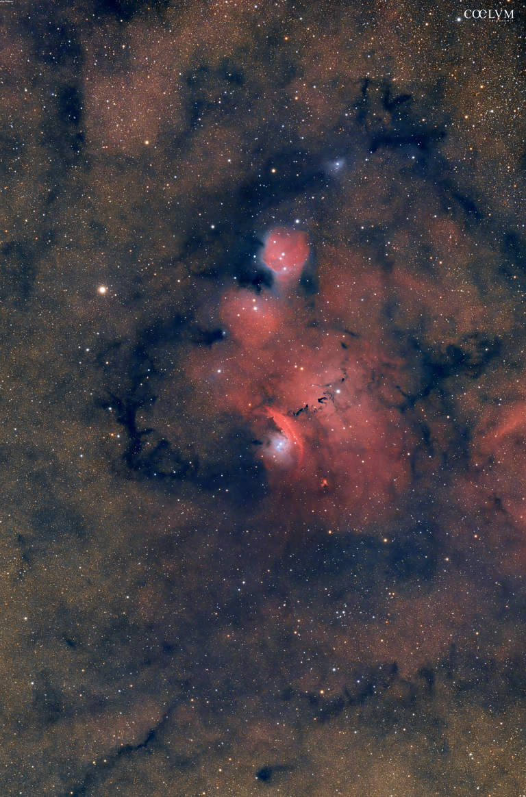 NGC 6559
