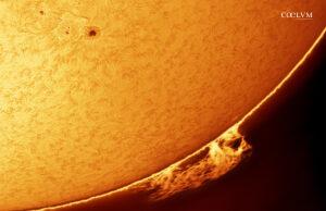 Sole in H-Alpha