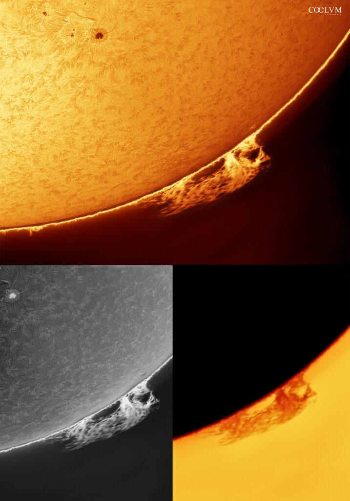 Sole in H-Alpha