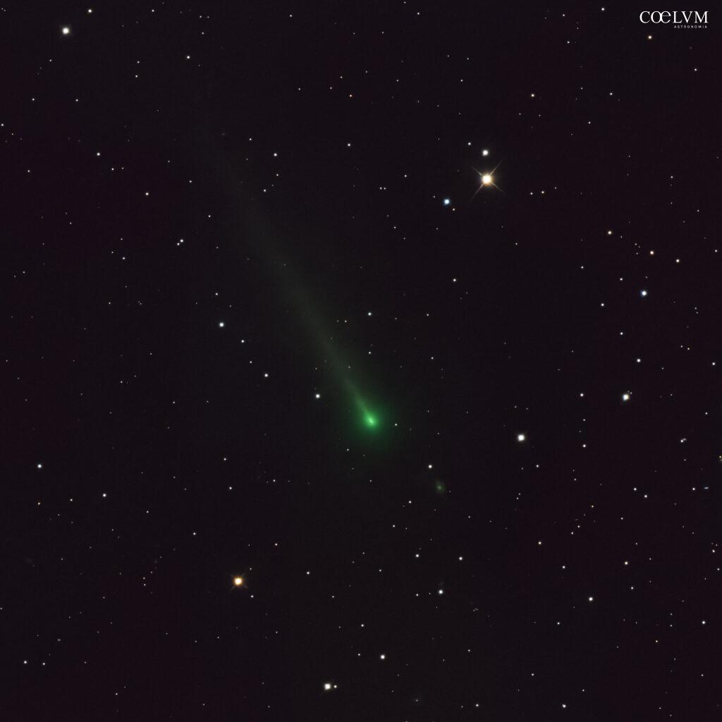 Cometa 220P McNaught