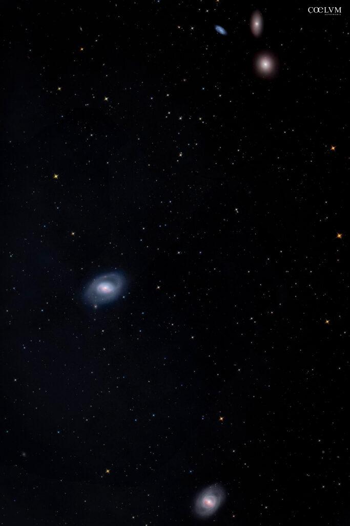 GALASSIE : GRUPPO DI M96