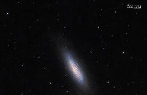 NGC 6503: galassia a spirale nel Dragone