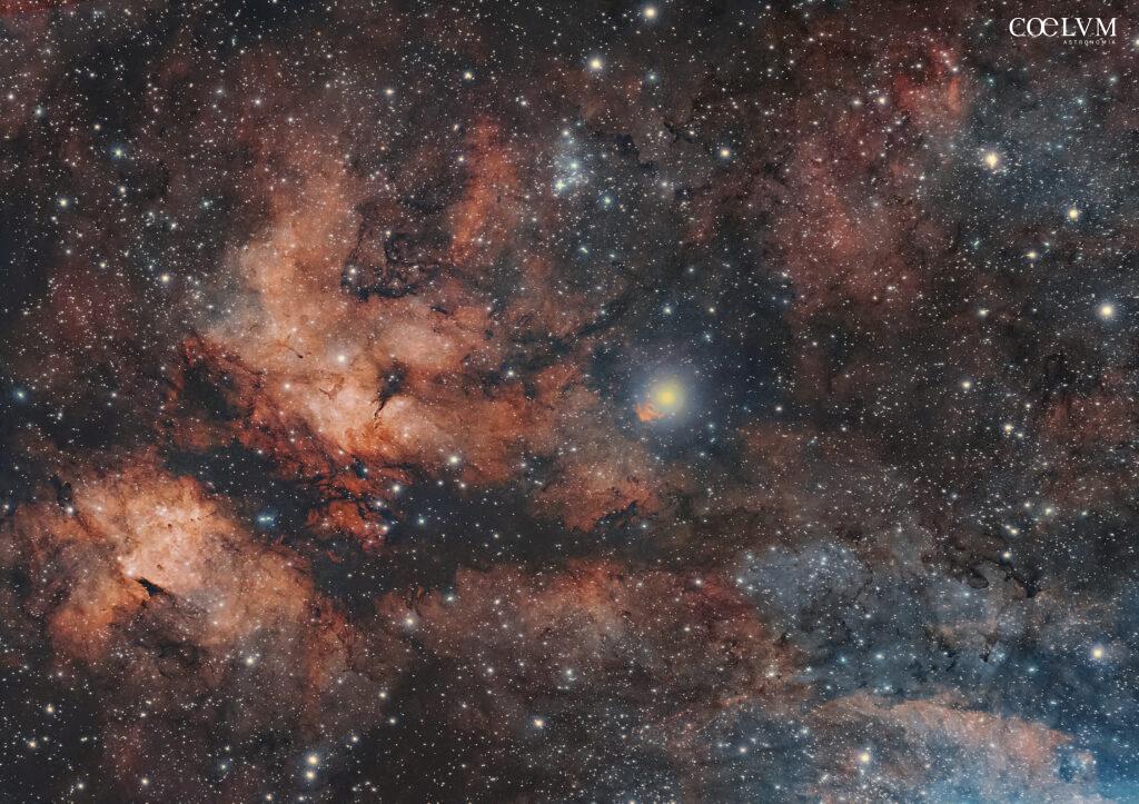 Nebulosa Farfalla IC 1318 e stella Sadr