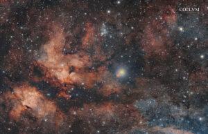 Nebulosa Farfalla IC 1318 e stella Sadr