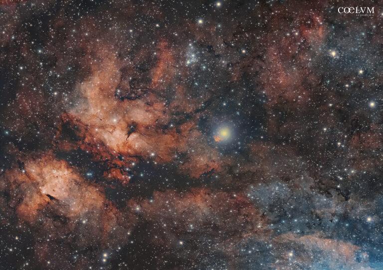 Nebulosa Farfalla IC 1318 e stella Sadr