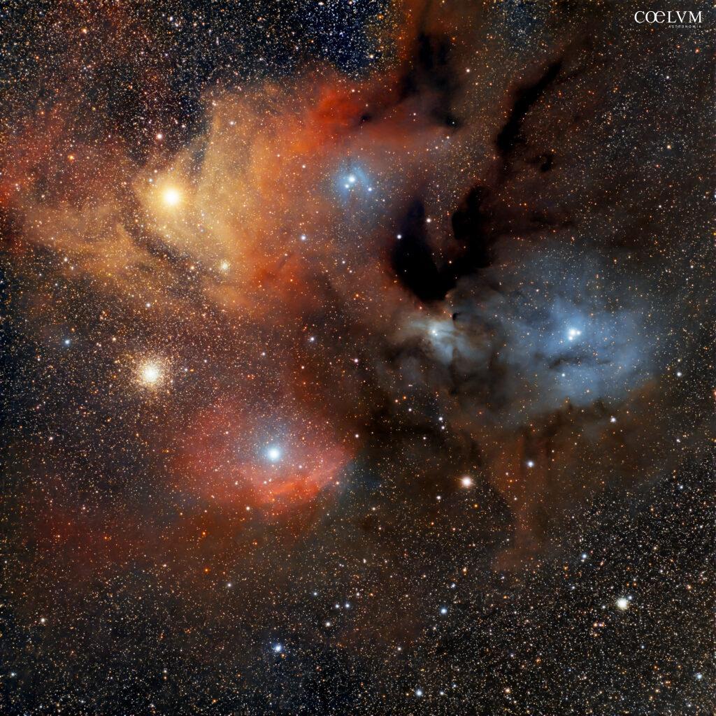 Rho Ophiuchi: il caos colorato della Via Lattea estiva