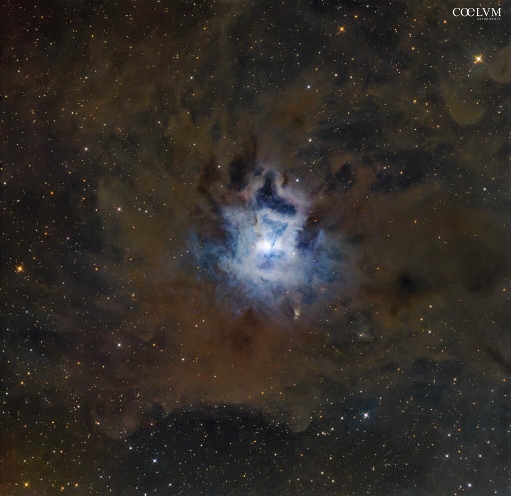 NGC 7023 – Iris Nebula