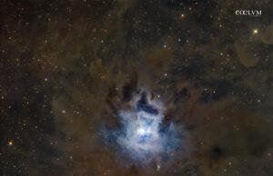 NGC 7023 – Iris Nebula