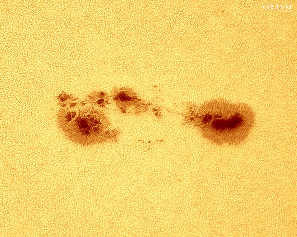 Macchia solare 4493