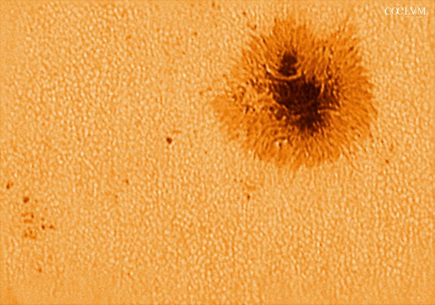 AR 4482