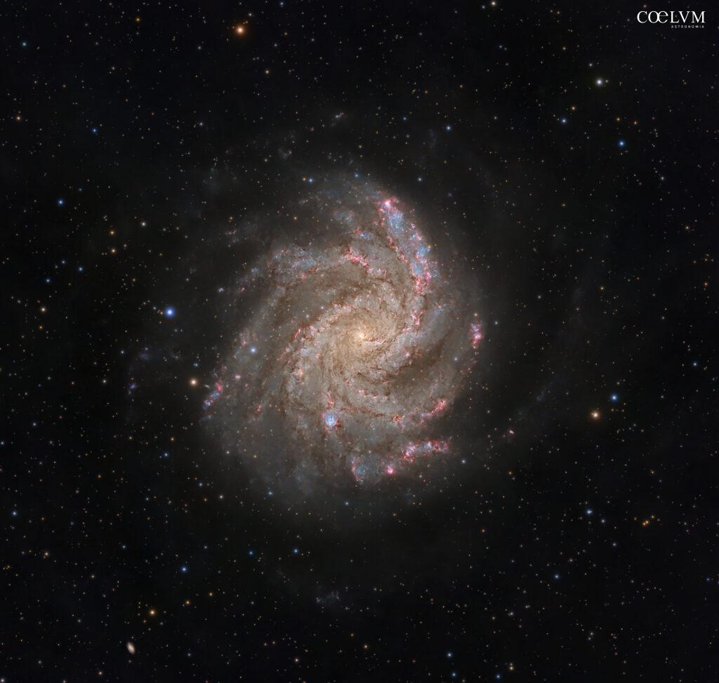 NGC 6946: galassia “Fuochi d’Artificio” nel Cigno