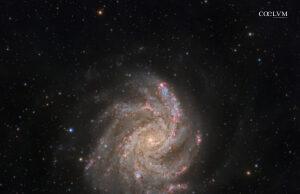 NGC 6946: galassia “Fuochi d’Artificio” nel Cigno