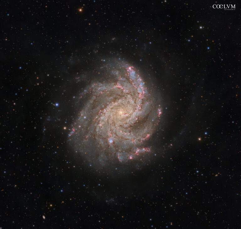 NGC 6946: galassia “Fuochi d’Artificio” nel Cigno