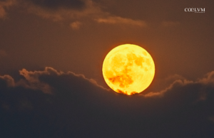La Luna del Cervo sulla Specola Vaticana