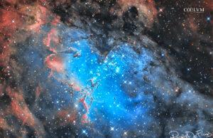 Sculture di polvere e gas: i Pilastri della Creazione nel cuore di Messier 16