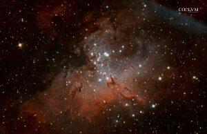 M16 Pilastri Creazione