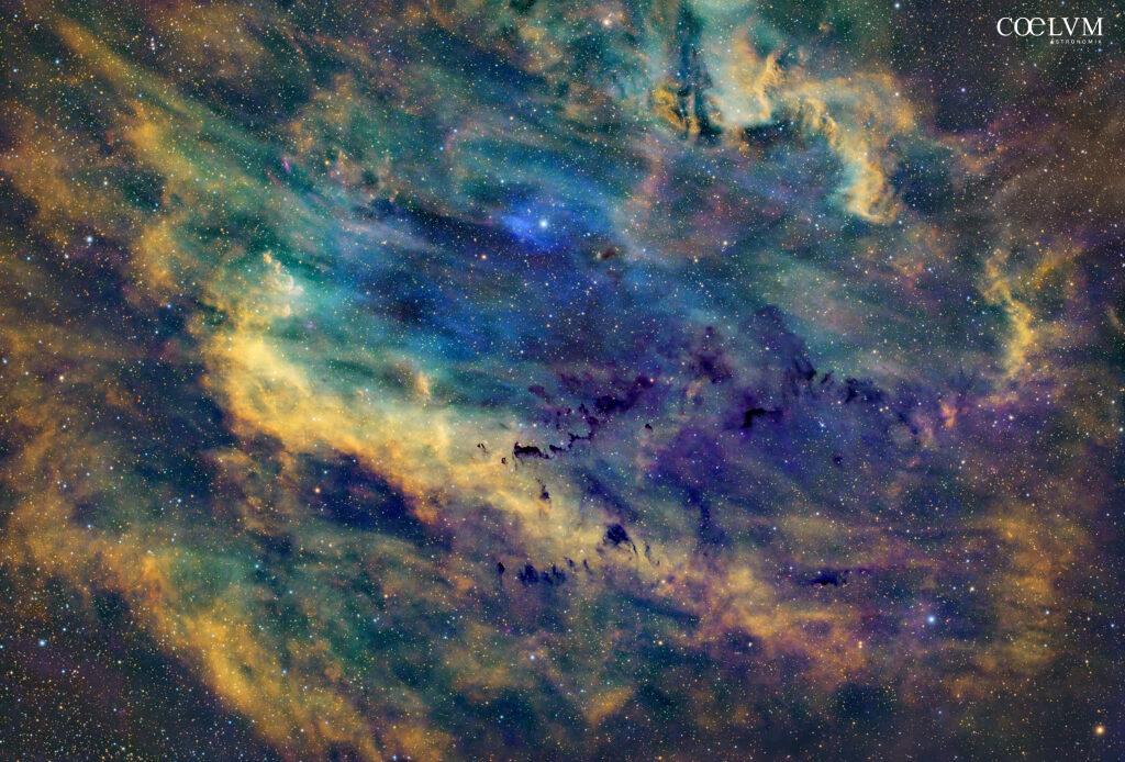 La Conchiglia del Cigno SH2-119