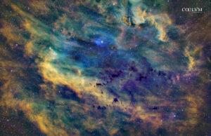 La Conchiglia del Cigno SH2-119
