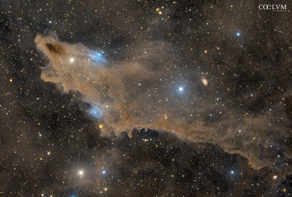 Lo Squalo del Cefeo LDN 1235