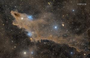Lo Squalo del Cefeo LDN 1235