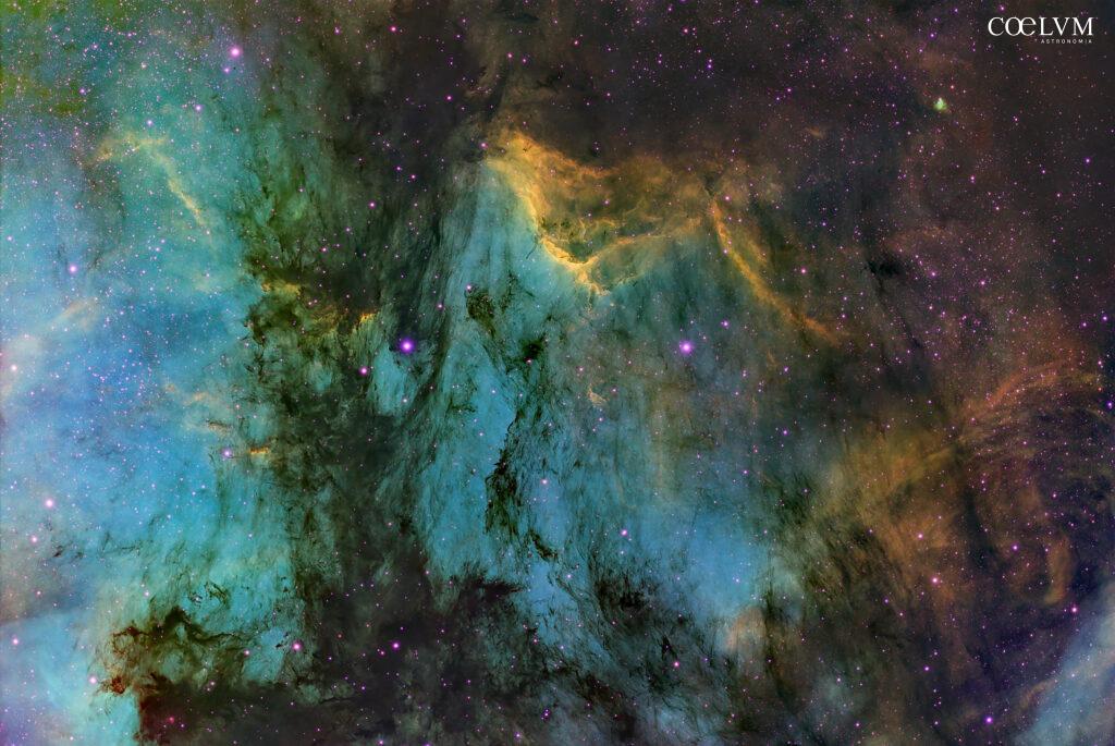 NEBULOSA PELLICANO SHO