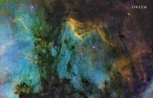 NEBULOSA PELLICANO SHO