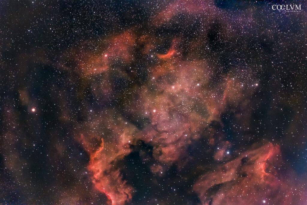 Nebulosa Nord America (NGC 7000) e Pellicano